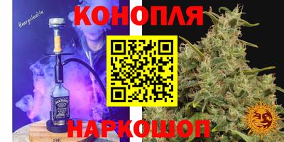 Альфа ПВП Канаш