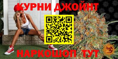 Альфа ПВП Канаш
