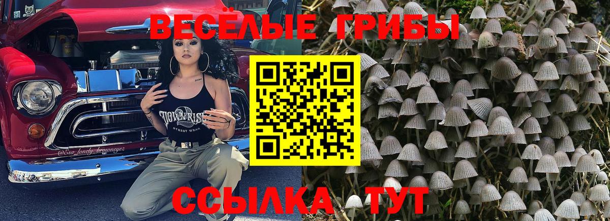 Псилоцибиновые грибы Magic Shrooms  Галлюциногенные грибы Cubensis  Вход с VPN  Магадан 