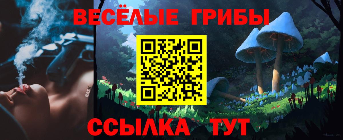 Галлюциногенные грибы ЛСД Магадан